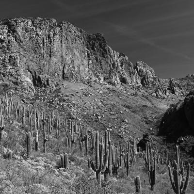 Baboquivari Canyon in black and white