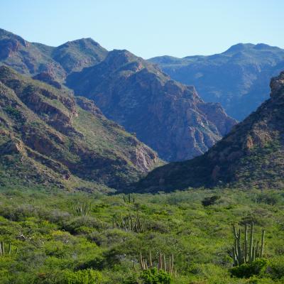 Barajitas Canyon outwash plain, Sierra El Aguaje