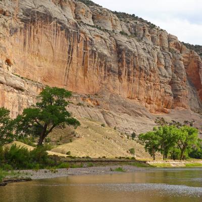Large cliffs, the Green River, and cottonwoods at Echo Park, Dinosaur National Monument