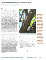 Cover of Sonoran Whipsnake Consuming a Bat in an Emory Oak Canopy